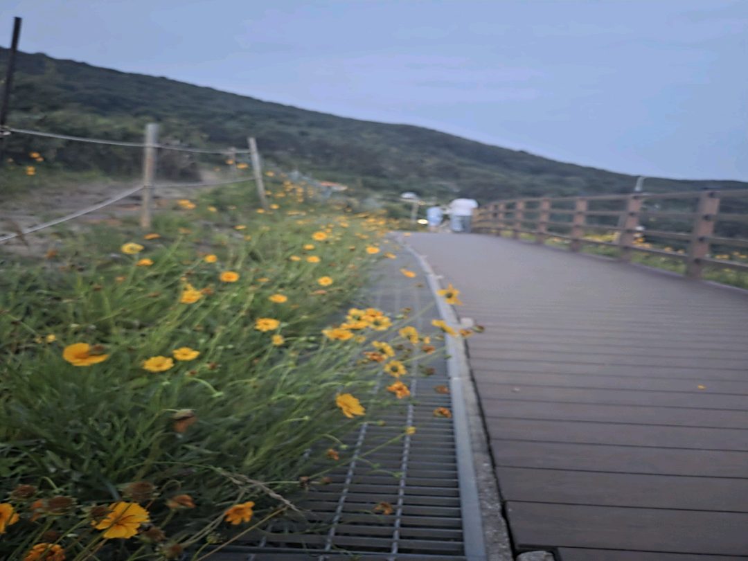 임현정81