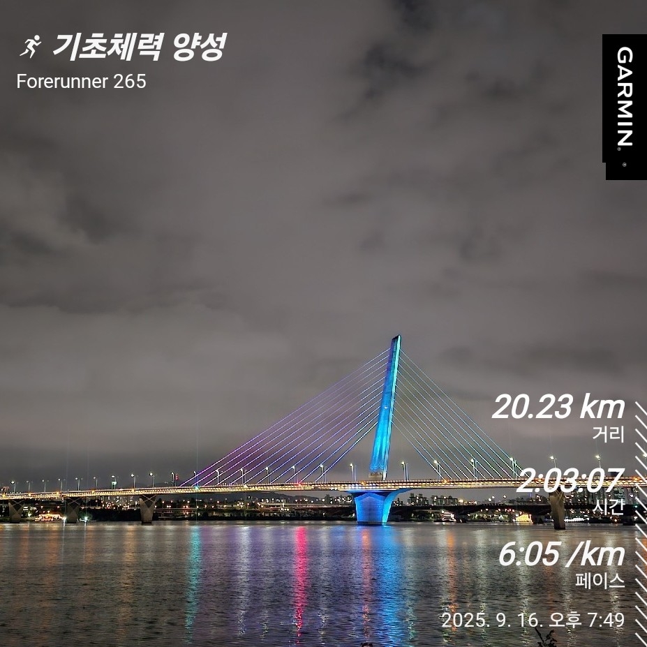 고추잠자리