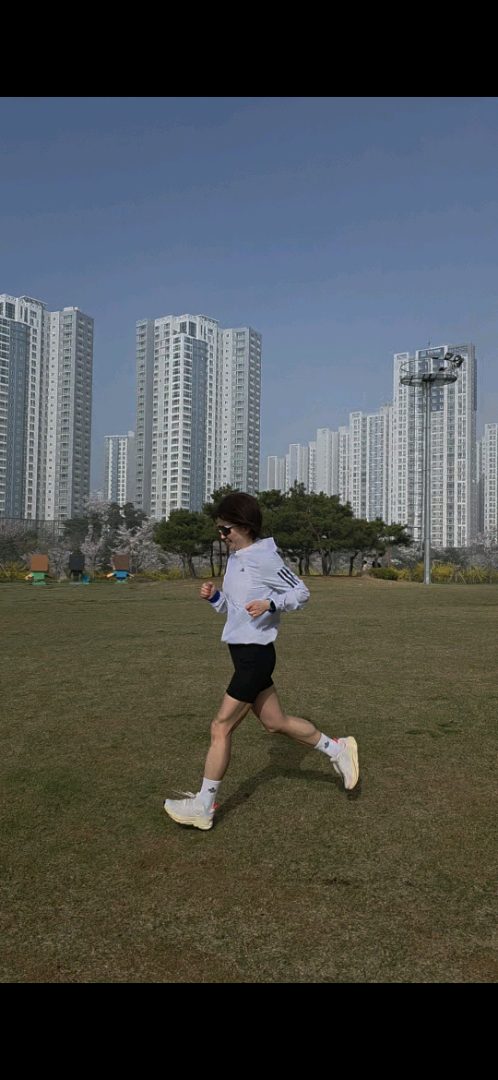 시조새